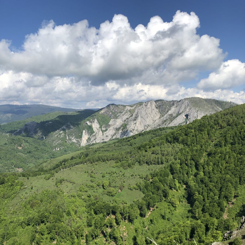 Vedere de pe vârful Vulturese înspre Scărița - Belioara